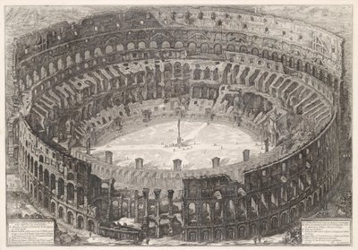 View of the Colosseum from a Bird